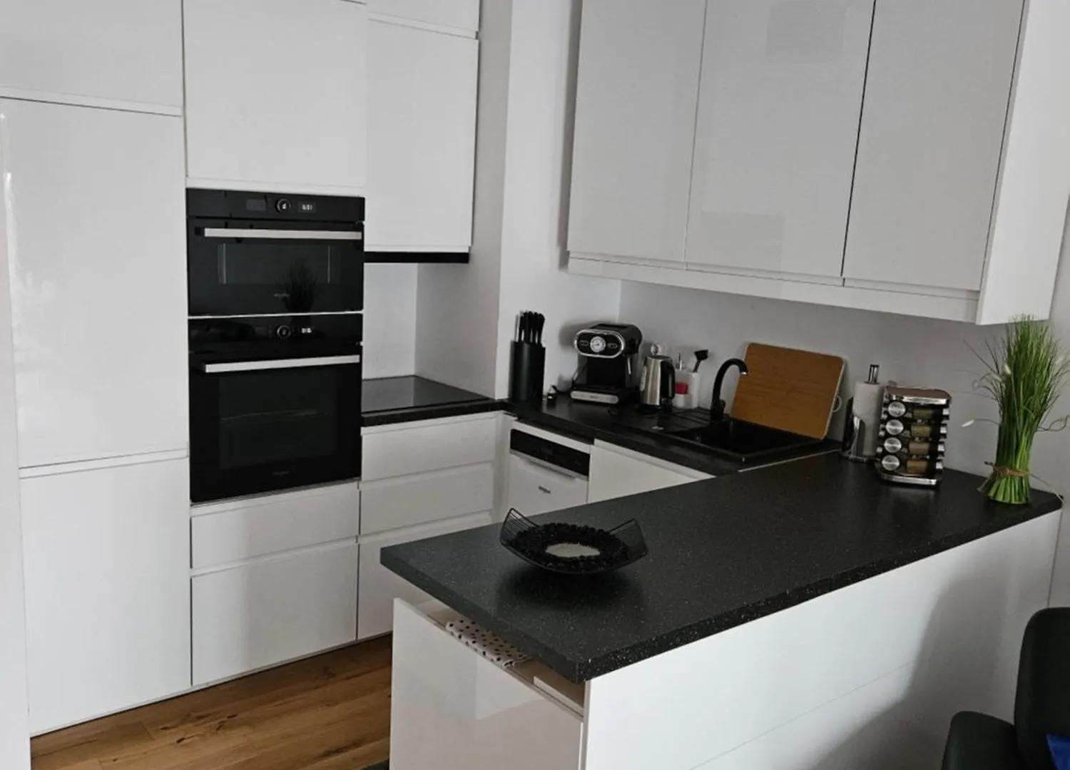 Biala Perla Apartment Gdansk 0*,